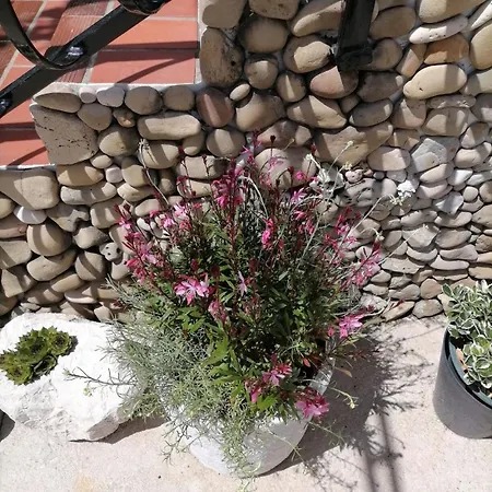 Poldan