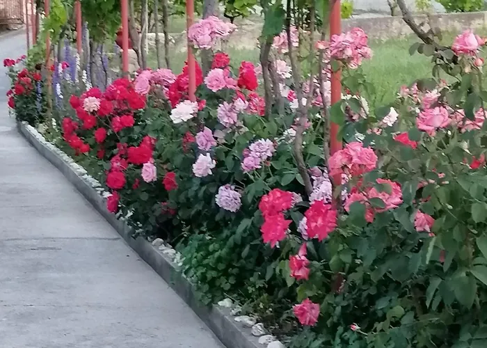 Poldan Apartman